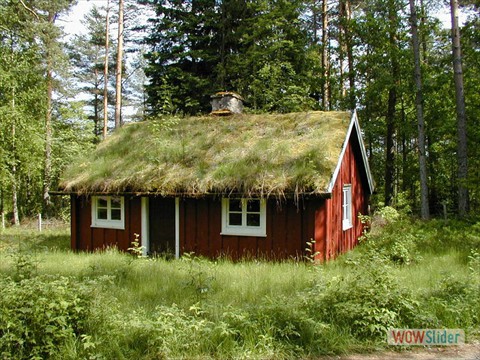 image03