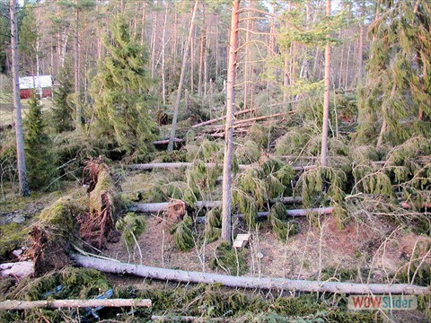 image06