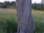 image12