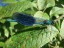 image15